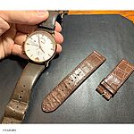 EMPORIO ARMANI Brown Crocodile Leather Classic Flat Watch Strap