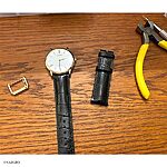 CITIZEN Classic Black Crocodile Leather Watch Strap - Image 2