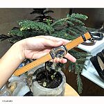 FOSSIL Navy Blue Leather Watch Strap – Classic Flat Style - Image 4