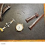 LONGINES Brown Crocodile Leather Watch Strap, Classic Style - Image 3