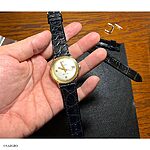 Wittnauer Black Crocodile Leather Classic Flat Watch Strap