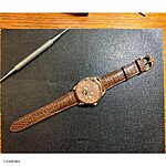 ROLEX Classic Brown Crocodile Leather Watch Strap