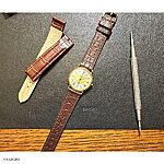 MOVADO Brown Crocodile Leather Classic Flat Watch Strap - Image 3