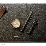 Black Classic Crocodile Leather Watch Strap Size 22-18mm - Image 2