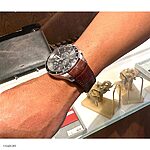 MOVADO Brown Crocodile Leather Classic Watch Band